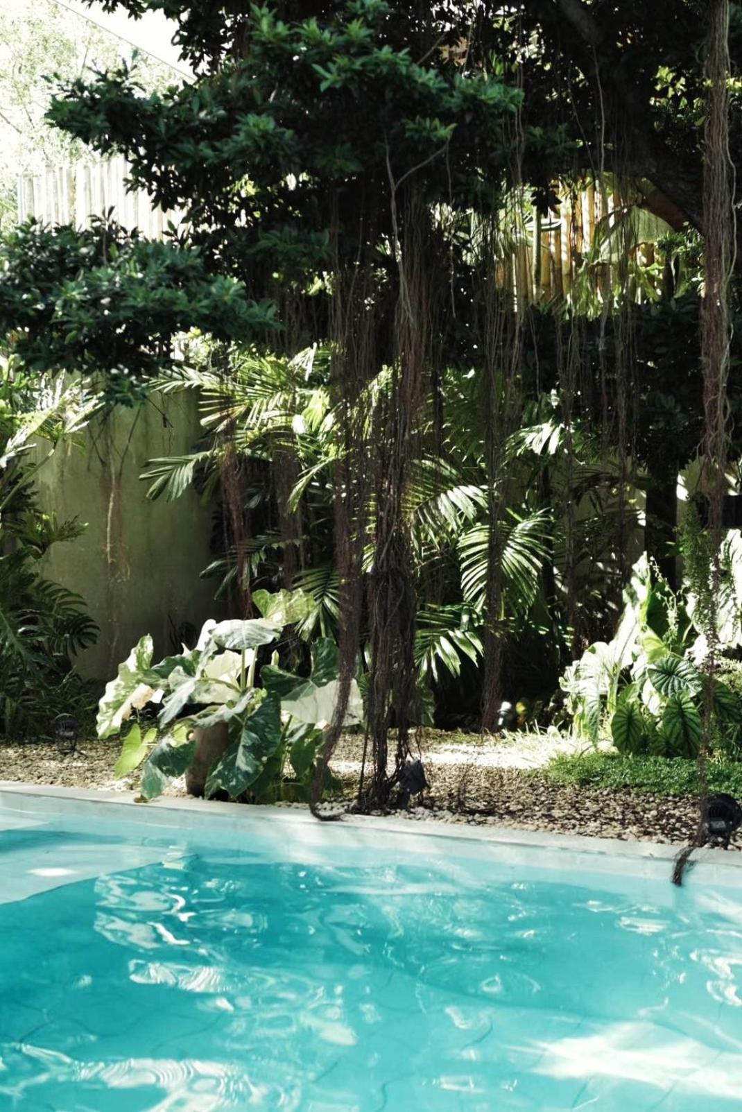 Banyan Villa Panglao With Private Pool Dış mekan fotoğraf